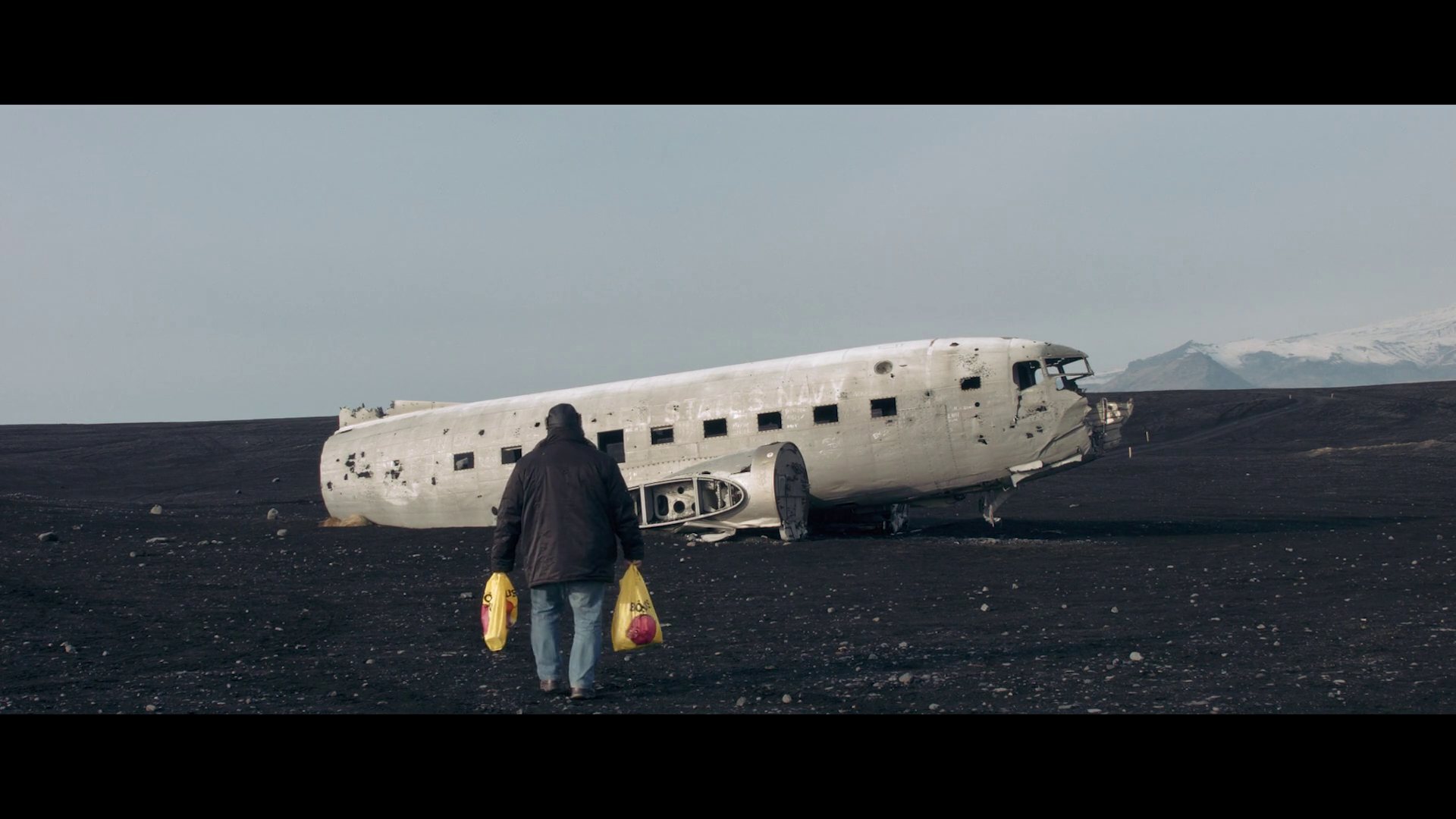 Les éléphants perdus (C.Andrieux - 2017)
